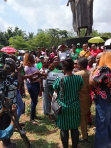 Enugu women senate nomination