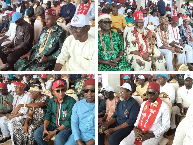 Traditional rulers back Anike and Mbah