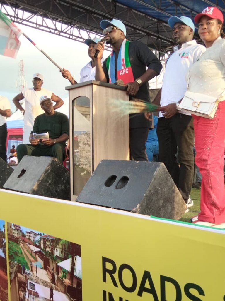 Ugwu assures party of support