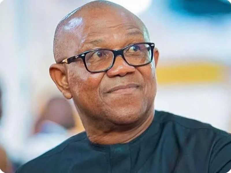 Presidency Challenges Peter Obi Over Anambra Debt Claims, Demands Follow-Through on Campaign Pledge