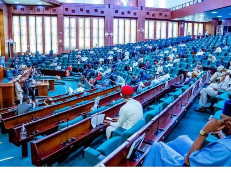 Reps Demand Urgent Rescue of 116 Abducted Schoolchildren in Borno