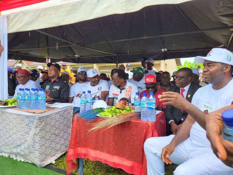 Sept. Poll: Aninwogbu Support Group Pledges Votes for Ogbuekwe in Nkanu East
