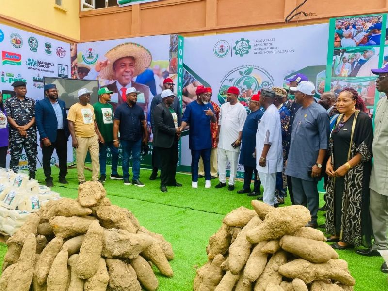 Enugu Targets Food Security, Revives Dormant Agricultural Assets