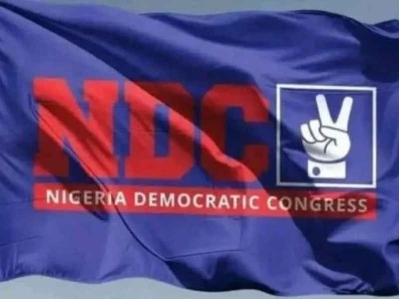 FULL LIST: NDC Names Peter Obi, Henry Dickson, Kwankwaso, Others as Campaign Council Members