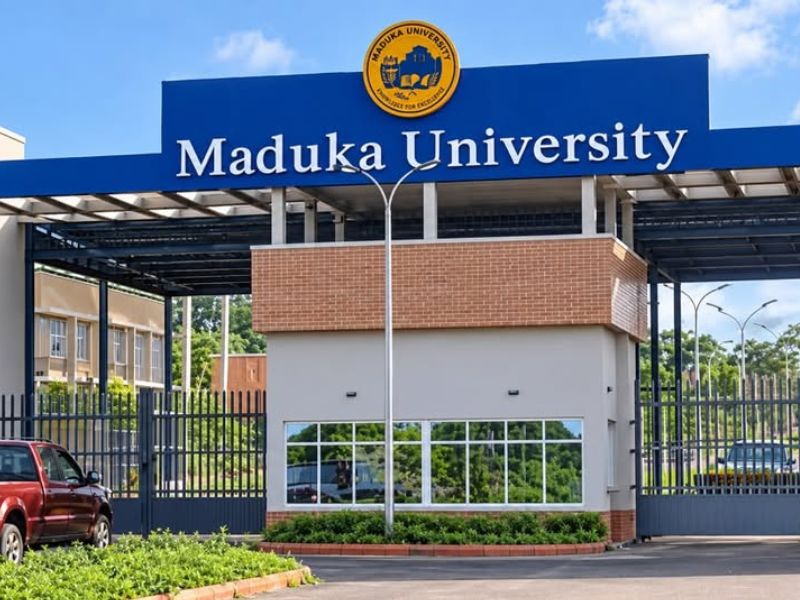 Maduka University Wins 2026 South-East Business Plan Competition