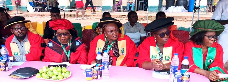 Study Centre Grows From 12 to 262 Students