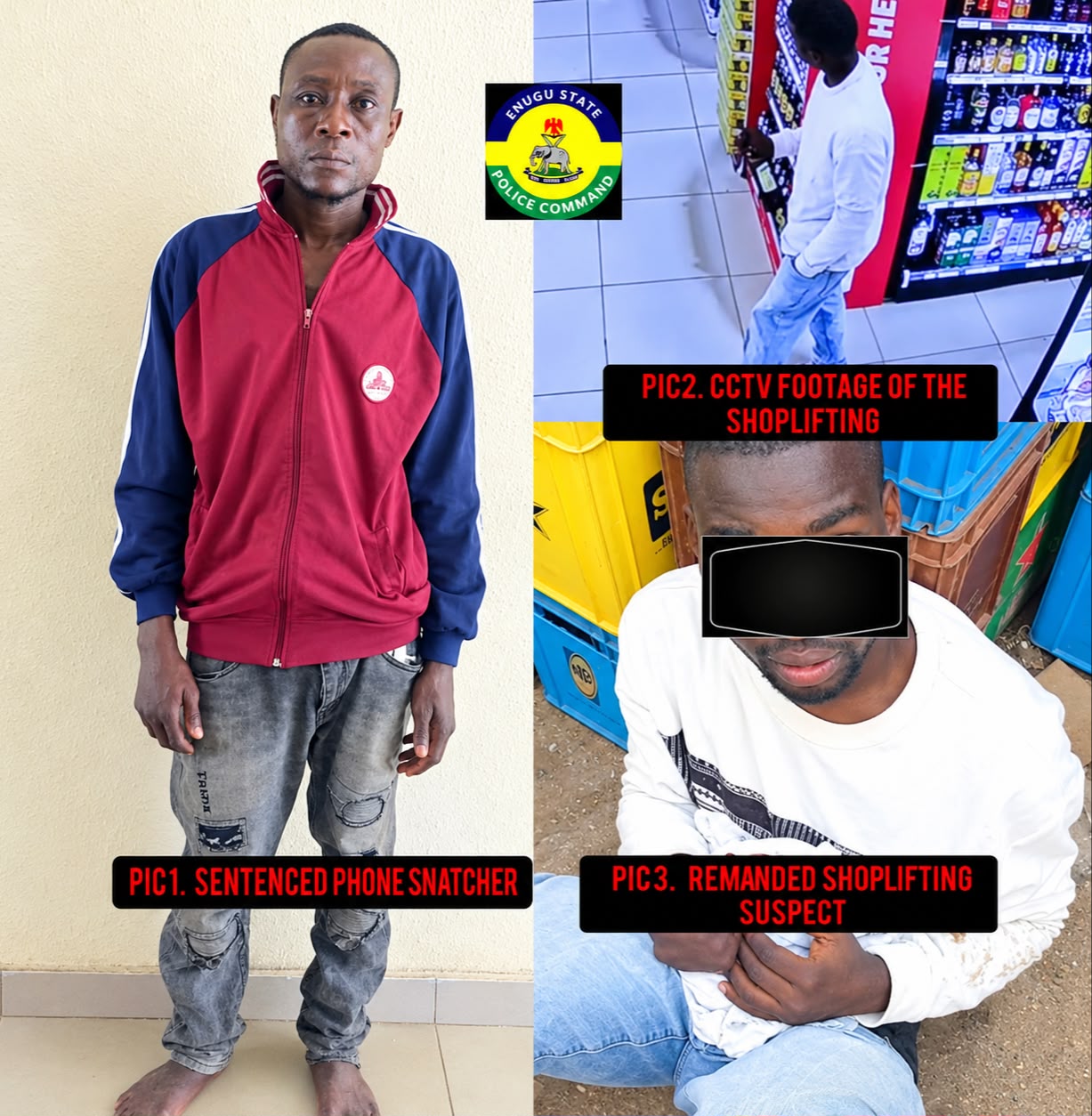Phone Snatcher Pleads Guilty